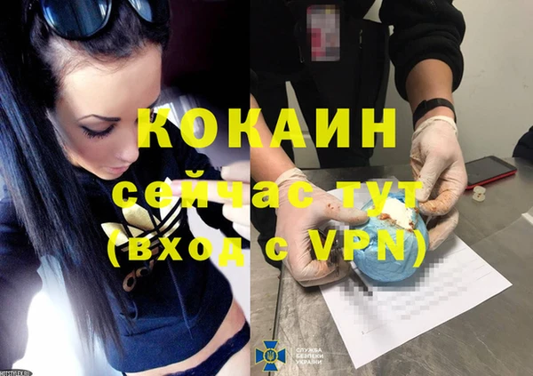 сатива Нягань