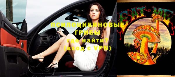 сатива Нягань